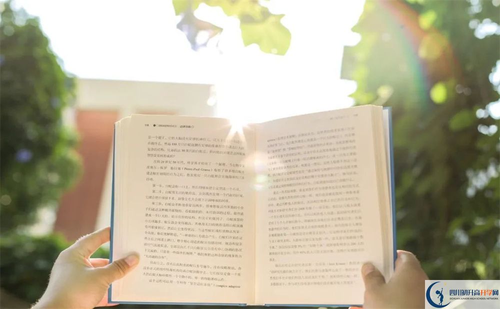 2025年綿陽市綿陽中學英才學校學費多少錢？