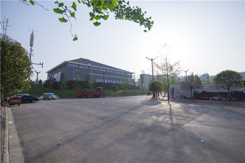 巴中市巴州區(qū)恩陽中學(xué)校園風(fēng)采