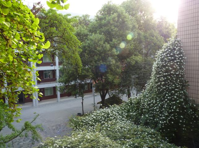 石室聯(lián)合中學蜀華分校怎么樣？