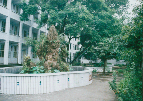 內(nèi)江十三中地址在哪？