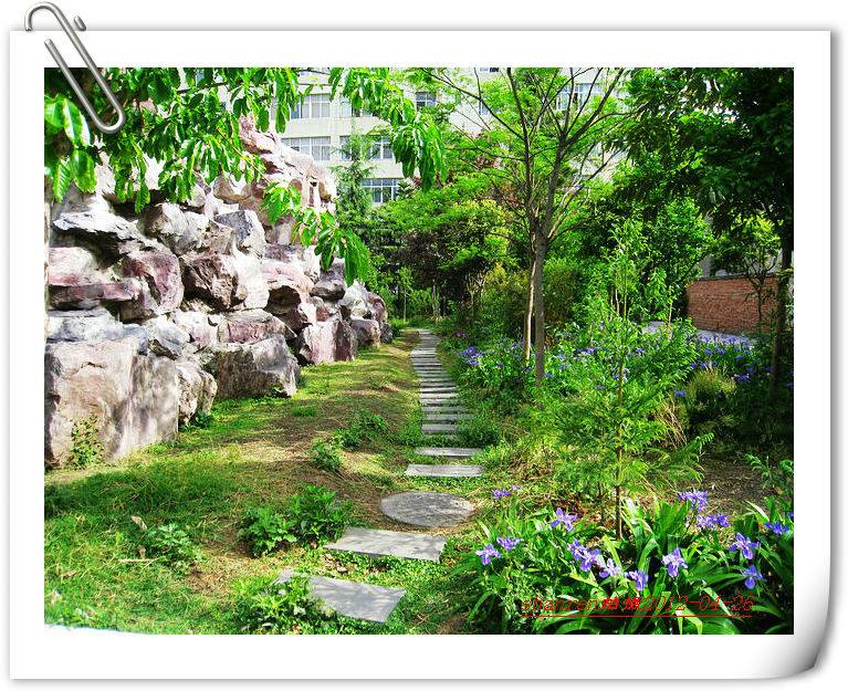 甘洛中學(xué)地址在哪里？