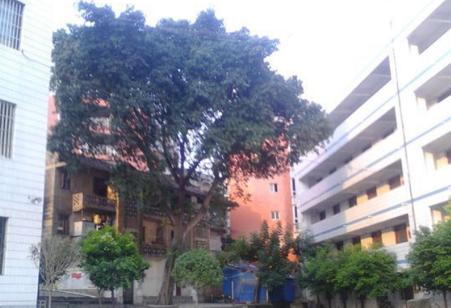 資中縣太平中學(xué)地理位置在哪里？