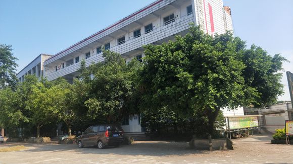 隆昌八中在哪里？