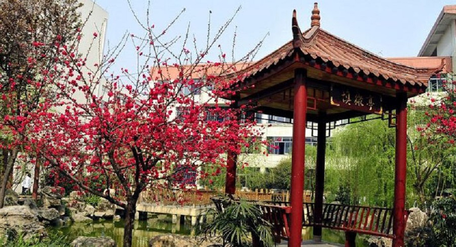 蜀城中學(xué)2020年中考錄取分數(shù)線是多少？