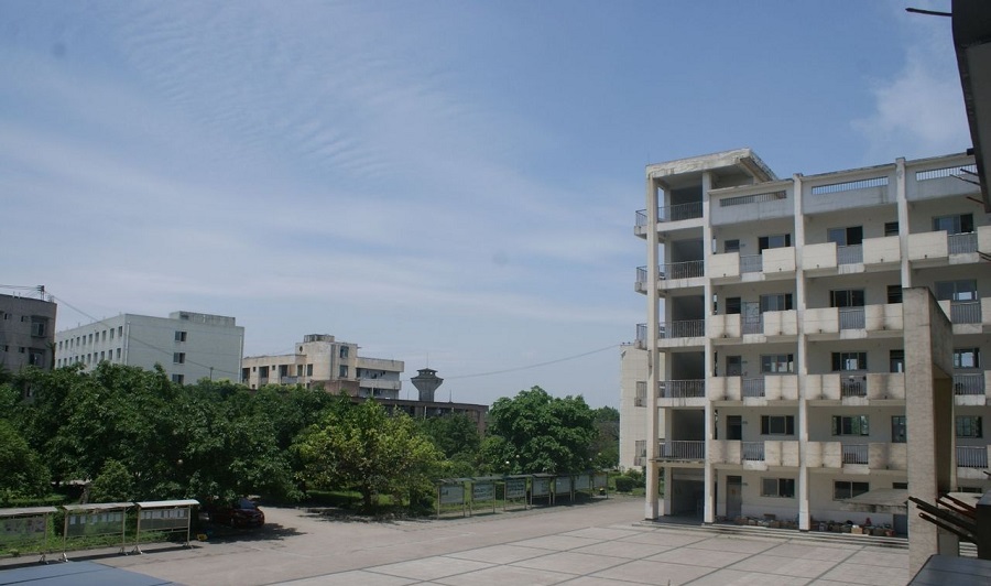 高埂中學校園環(huán)境怎么樣？
