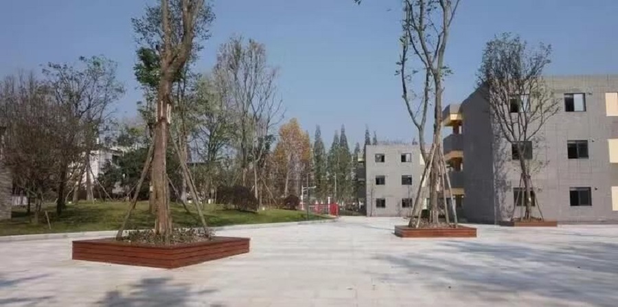 成都綿實(shí)外國語學(xué)校2019年招生公告公布了嗎？