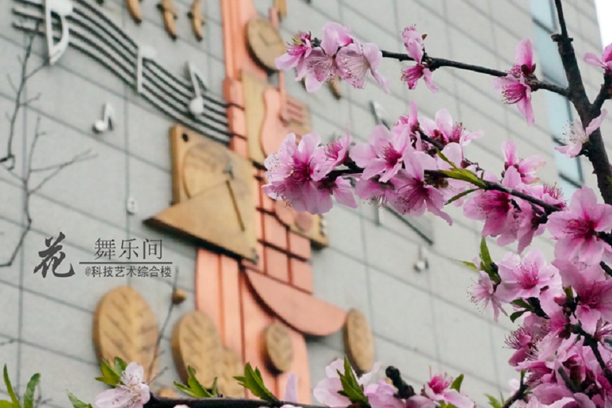 石室天府中學(xué)環(huán)境好不好、怎么樣？