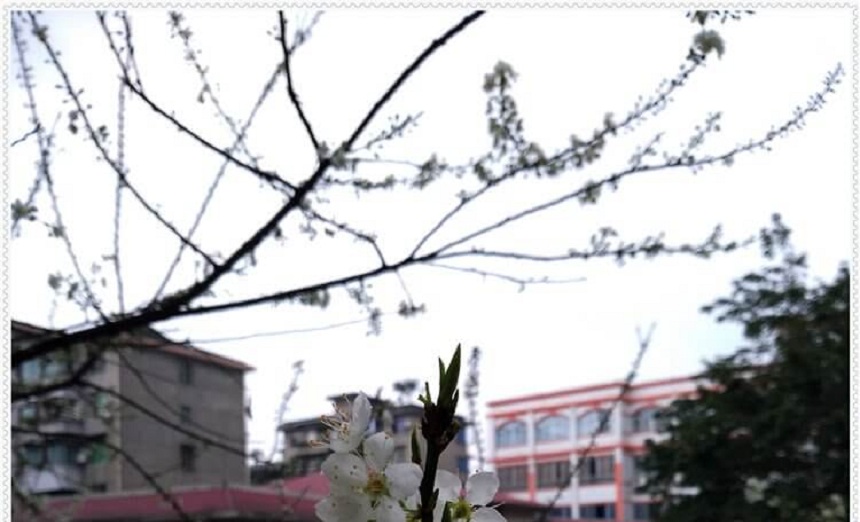 洪雅中學2018年招生分數(shù)是多少？