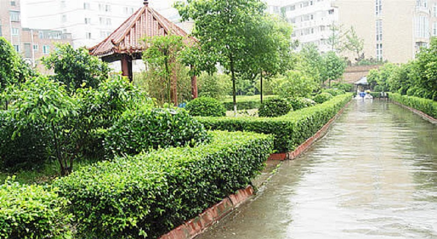 華興中學(xué)環(huán)境好不好？