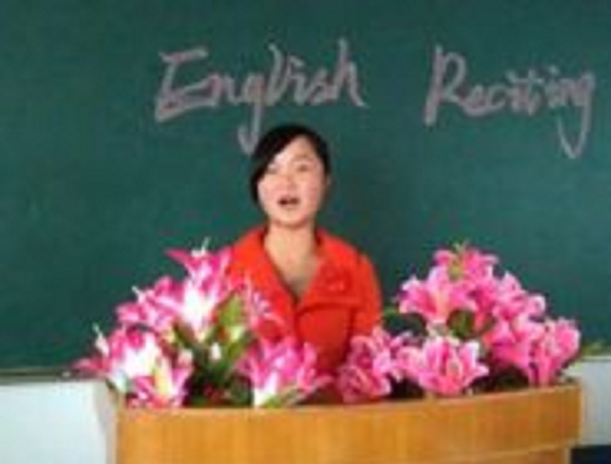 汪洋中學是民辦還是公辦？