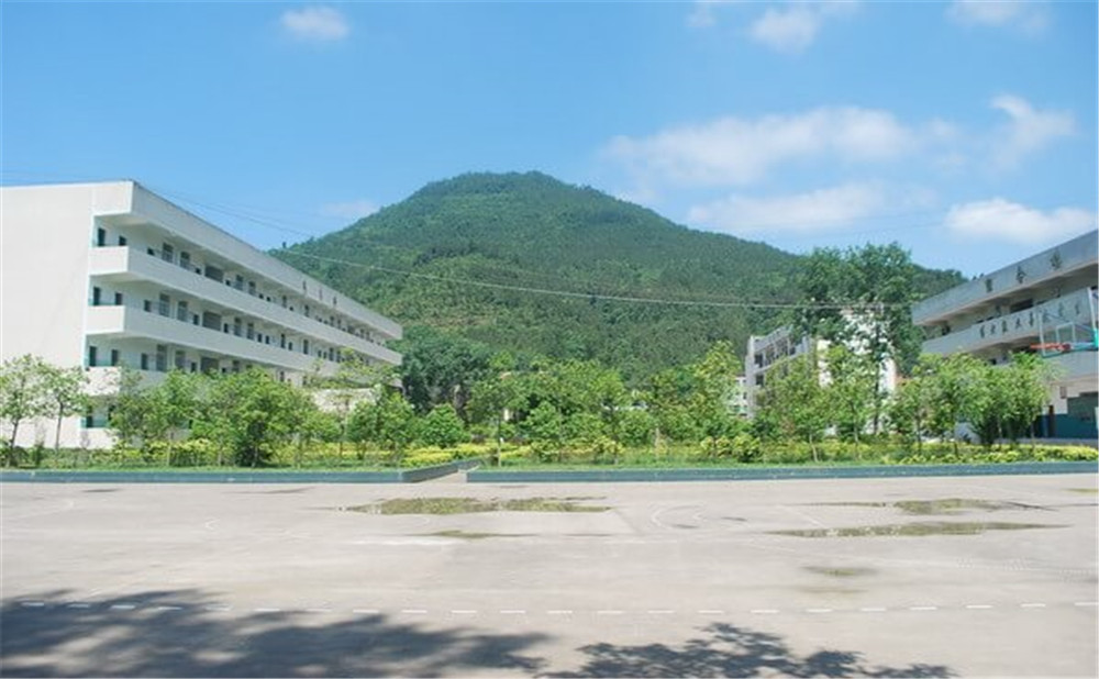 金山中學(xué)學(xué)校環(huán)境如何？