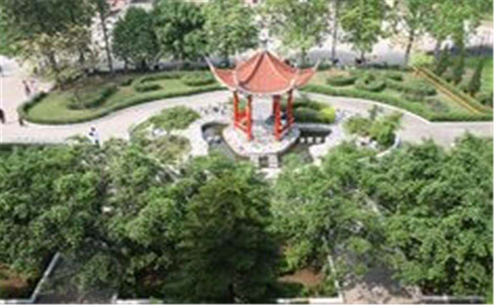 四川省瀘縣第九中學(xué)2020年招生計劃是多少？