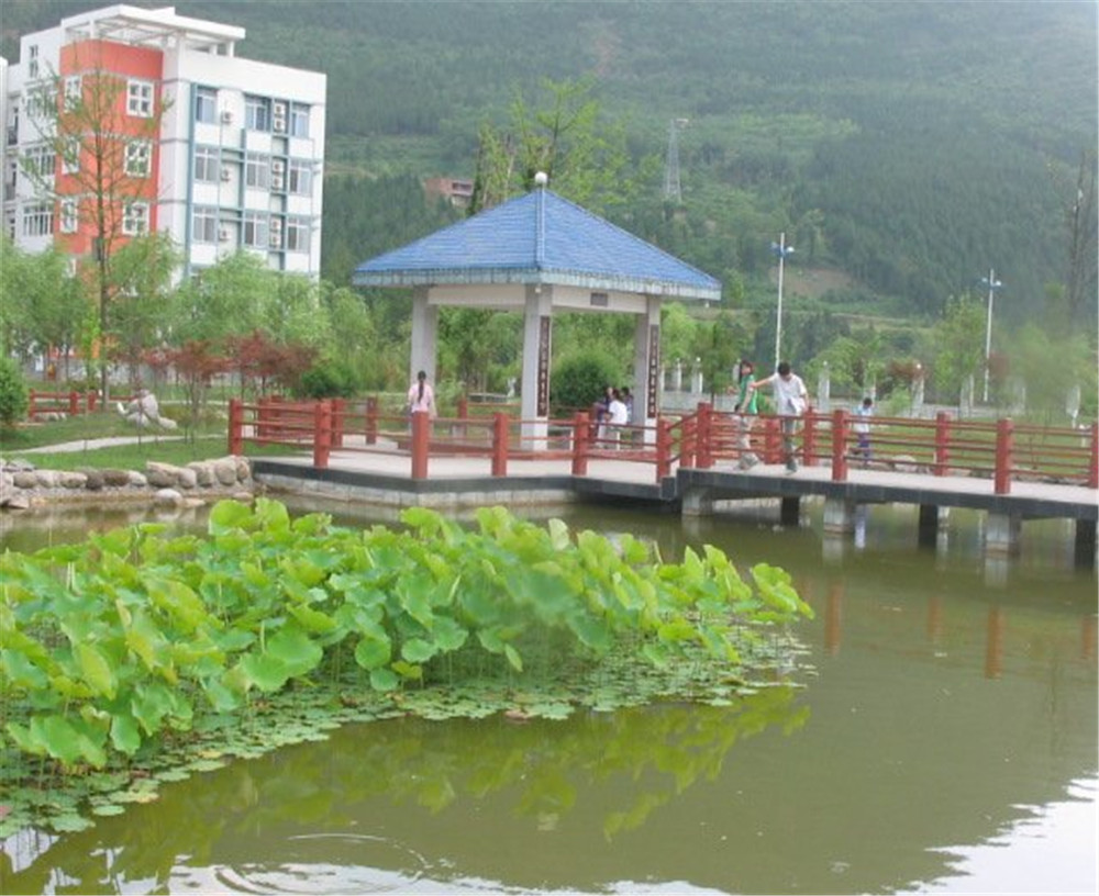 廣元外國語學(xué)校2020年學(xué)校招生簡章公布了嗎？