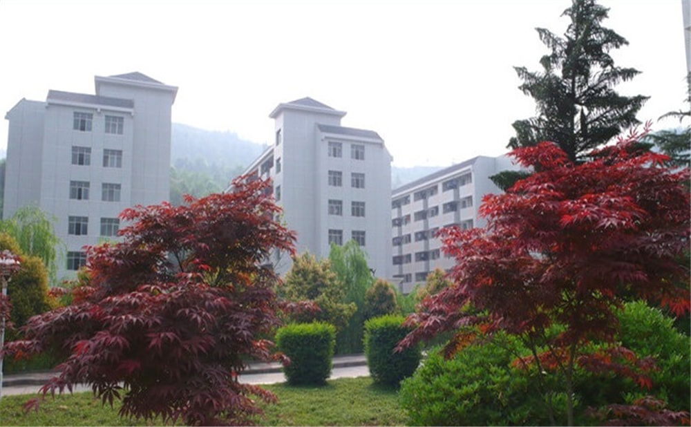 巴中中學(xué)學(xué)校詳細(xì)地址在什么地方？