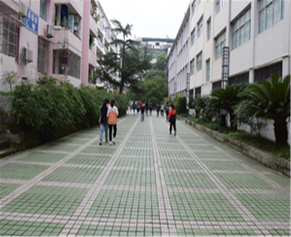 歧坪中學2020年的錄取分數(shù)是多少？
