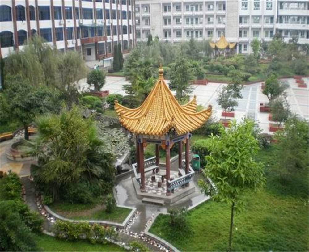 渠縣涌興中學(xué)2020年招生計劃公布了嗎？