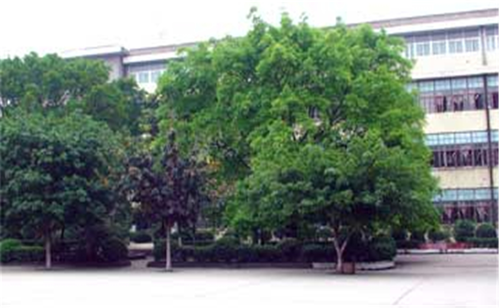 威遠縣自強中學學校環(huán)境怎么樣？