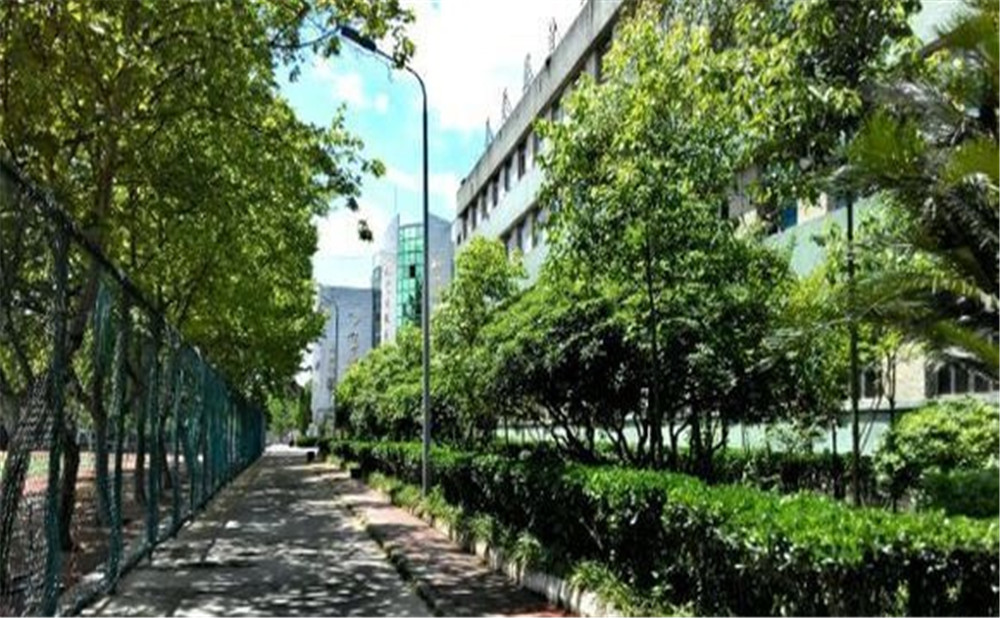 岳池縣第一中學(xué)2020年的招生計(jì)劃公布了嗎？