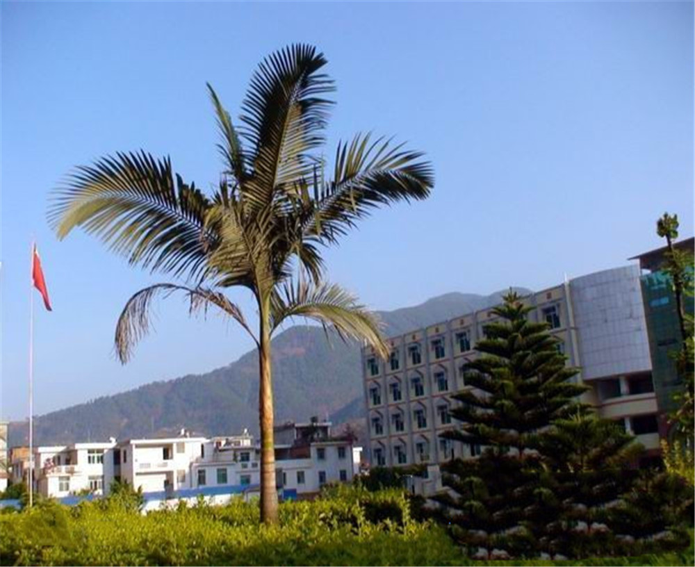 四川省鹽邊縣漁門中學(xué)2020年學(xué)校學(xué)費(fèi)多少錢一年？