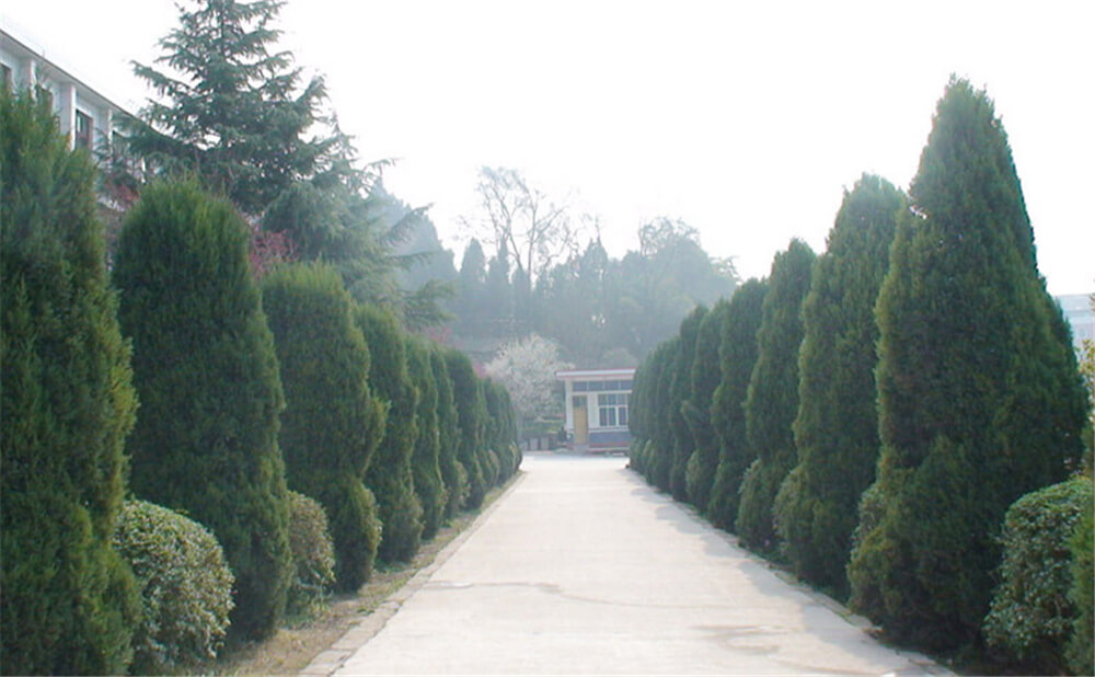 建興中學(xué)學(xué)校環(huán)境怎么樣？
