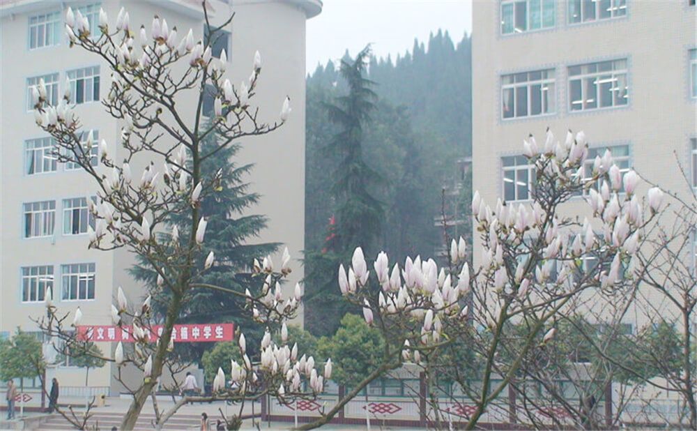 建興中學學校詳細地址在什么地方？