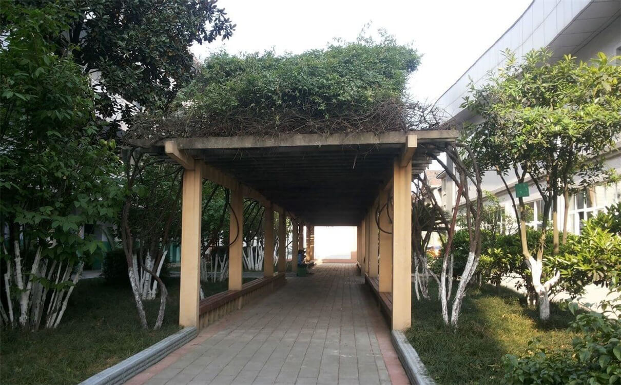 通錦中學(xué)的高中怎么樣？