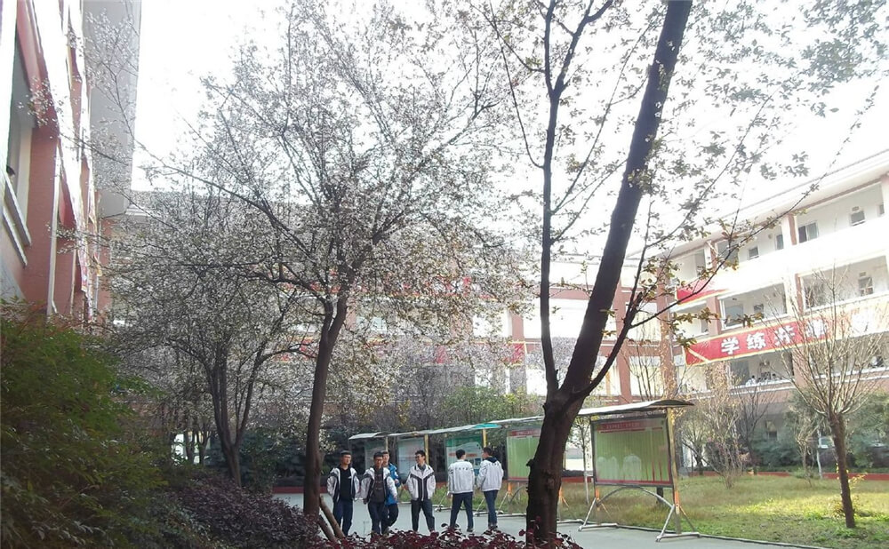 崇慶中學的去年錄取分數(shù)線是多少分？