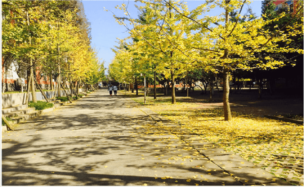 大邑中學(xué)2020年招生標(biāo)準(zhǔn)在哪兒看？
