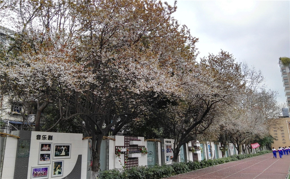 成都大學附屬中學2020年招生標準在哪兒看？