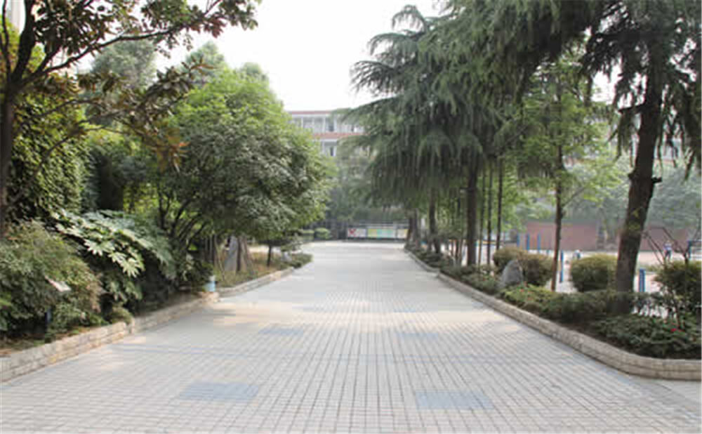 成都列五中學(xué)的學(xué)費(fèi)是多少錢(qián)？