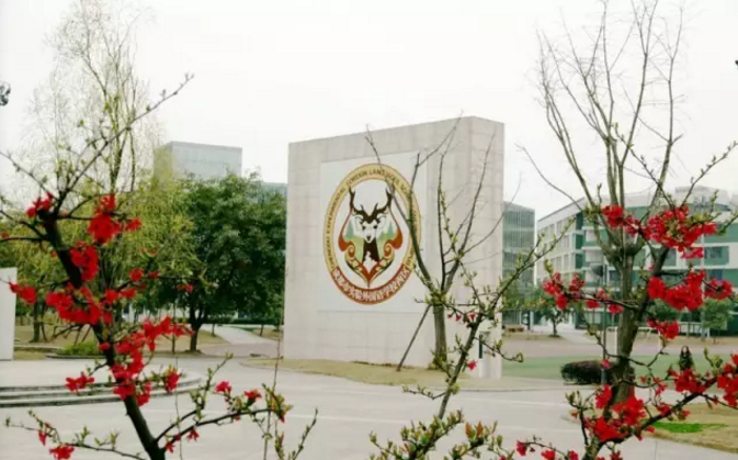 成都實驗外國語學(xué)校（西區(qū)）2020年的招生標準是什么？