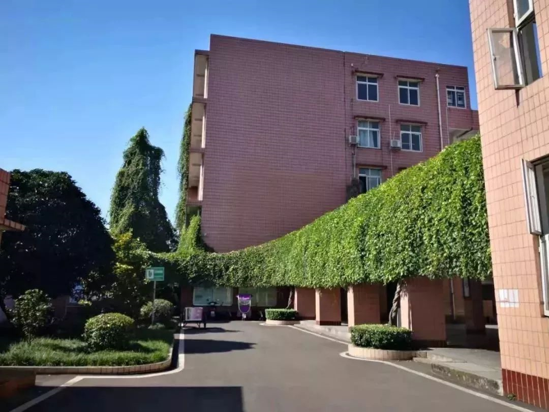 成都三十六中的本科升學(xué)率在哪兒看？
