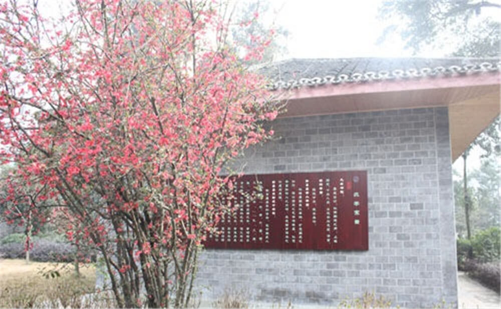 彭州中學(xué)2020年招生標(biāo)準(zhǔn)在哪兒看？