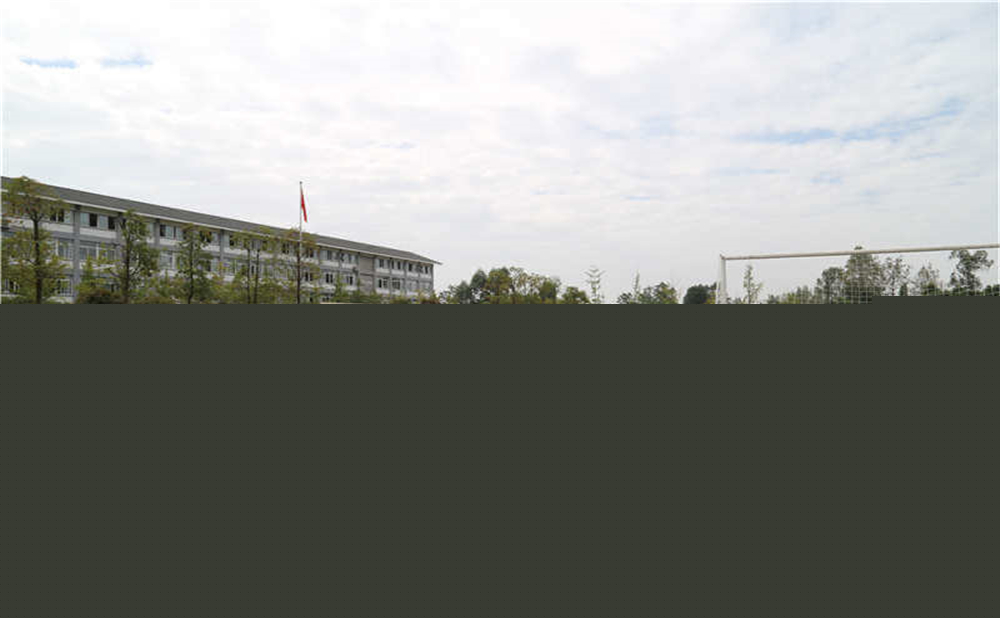 平樂中學(xué)的升學(xué)率是多少？