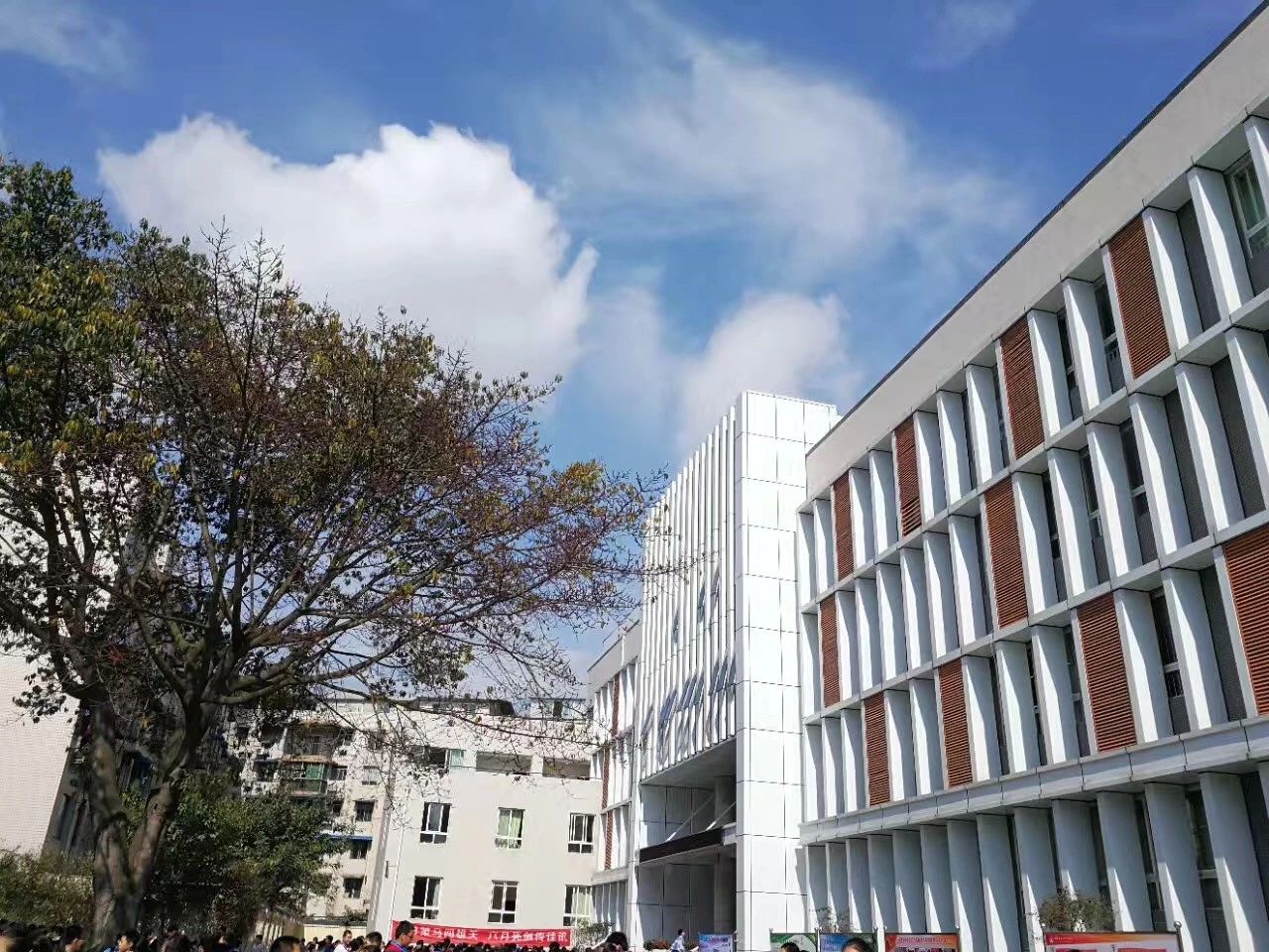 成都二十中高中一年的學(xué)費(fèi)是多少？
