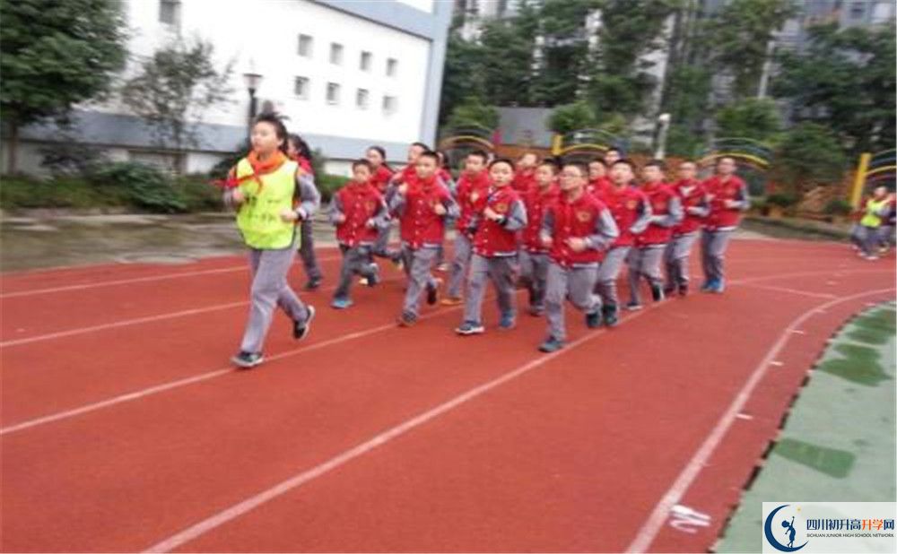 2020成都市泡桐樹(shù)中學(xué)的升學(xué)率有多少？