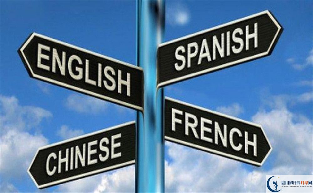 成都石室外國語學校的學費收費標準是多少？