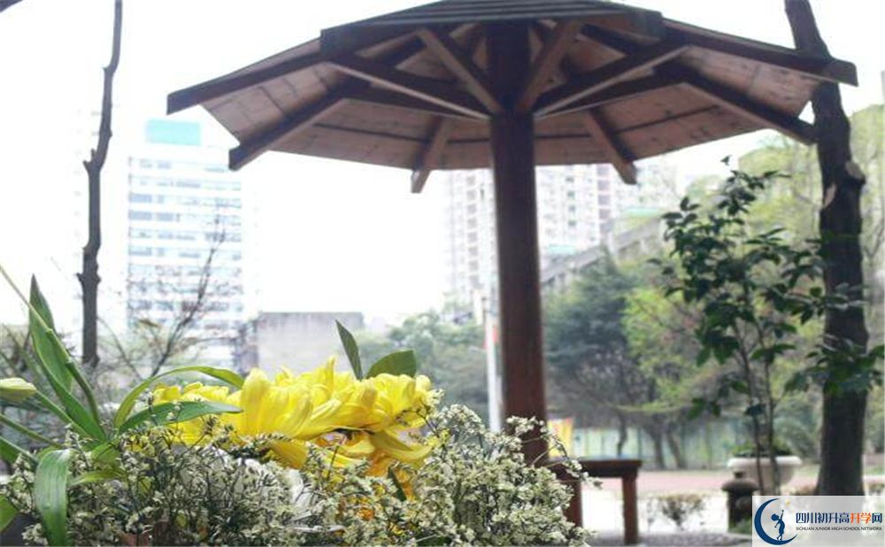 成都市石室聯(lián)中蜀華分校的高中好不好？