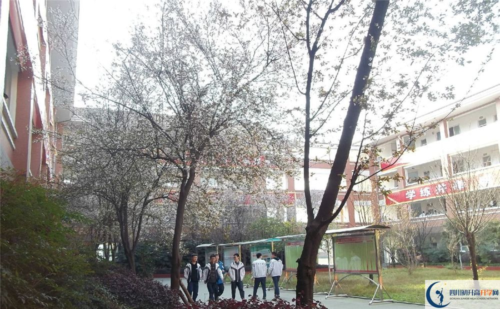 成都三十六中的分數(shù)線大概是多少分？