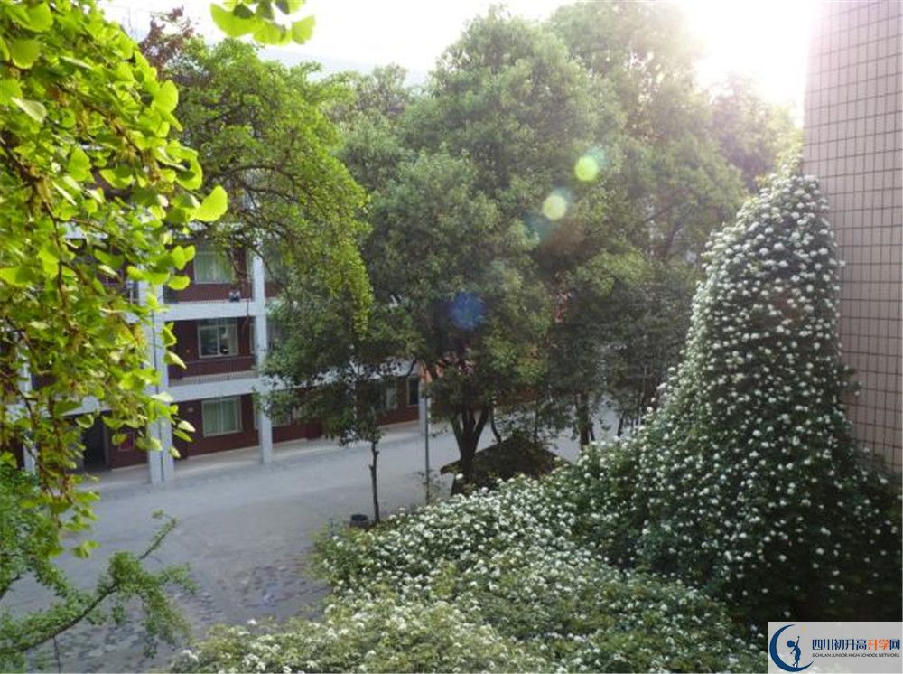 四川師范大學(xué)實(shí)驗(yàn)外國語學(xué)校2020年錄取條件是什么？