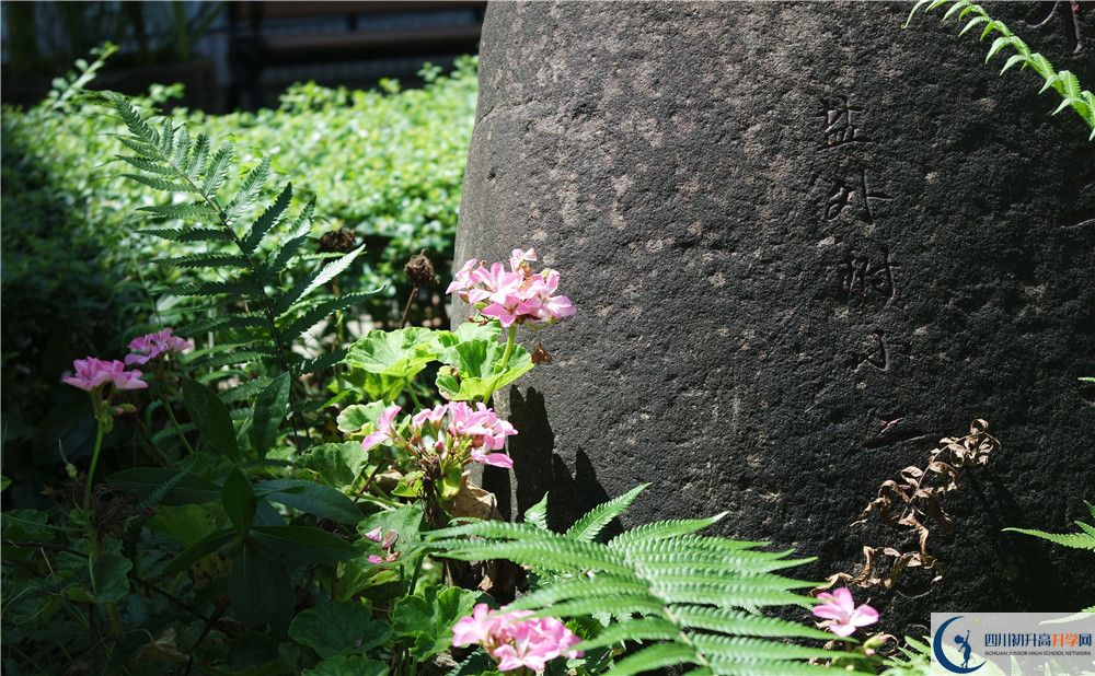 石室聯(lián)合中學(xué)蜀華分校住宿費(fèi)用是多少？