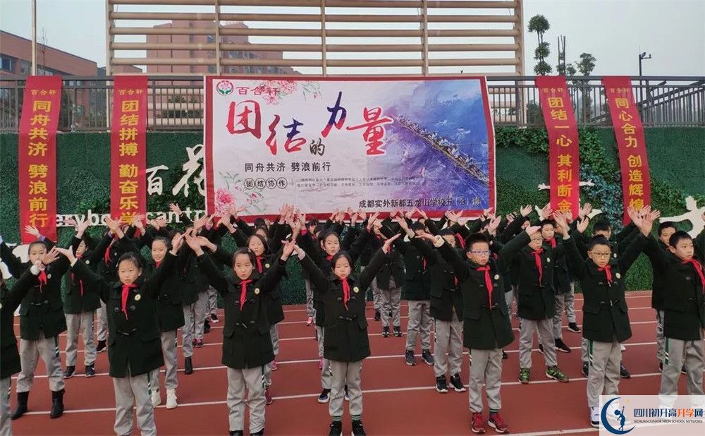 成都實外新都五龍山學(xué)校2020清華北大錄取學(xué)生是多少？