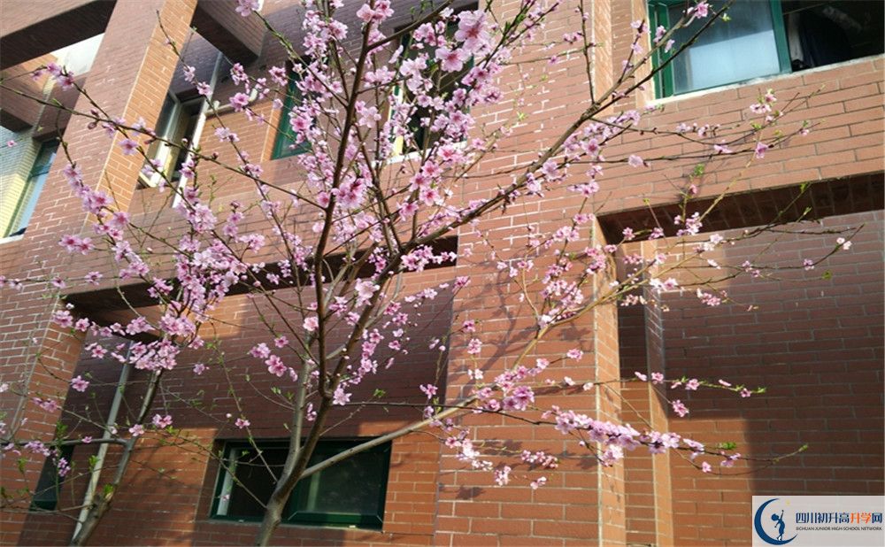 都江堰育才學校2020清華北大錄取學生多少？