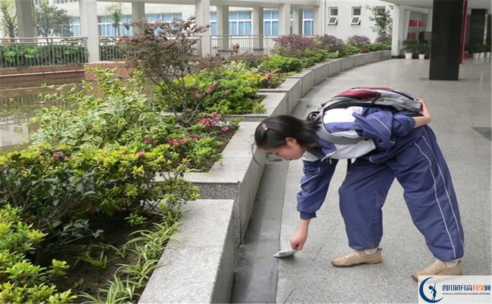 成都市龍泉中學(xué)初升高向外地招生嗎？