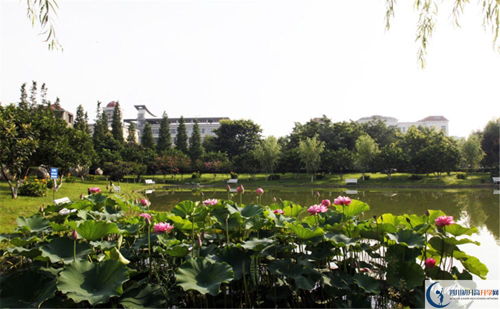 成都教科院附屬學(xué)校2020年保送清華北大的人數(shù)是多少？