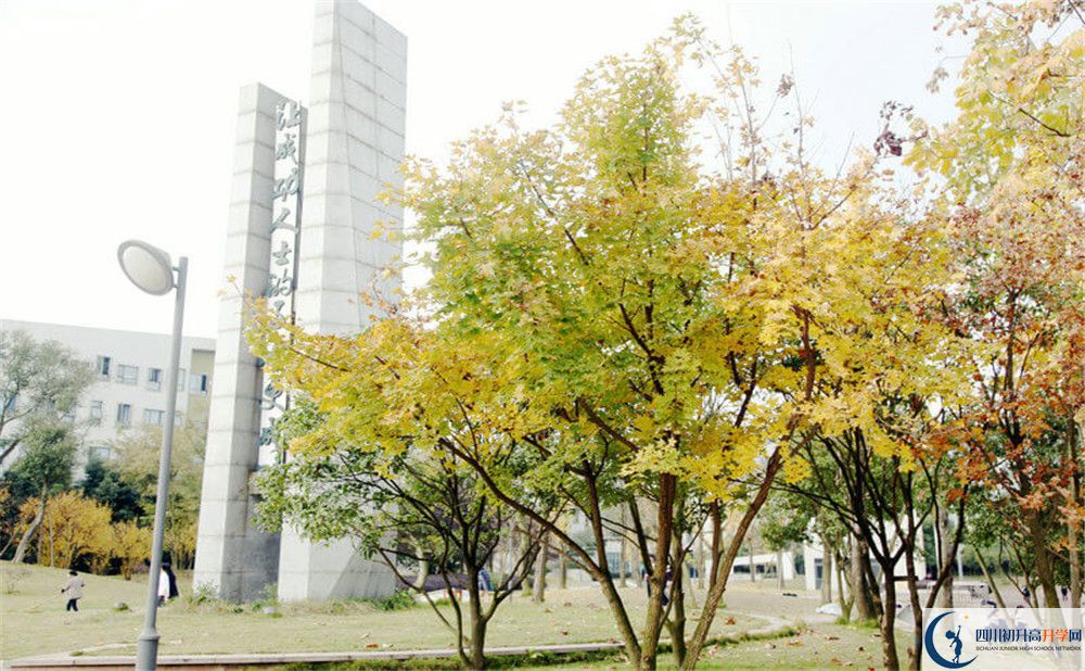 成都實(shí)驗(yàn)外國語學(xué)校（西區(qū)）2020年外地生學(xué)費(fèi)是多少？
