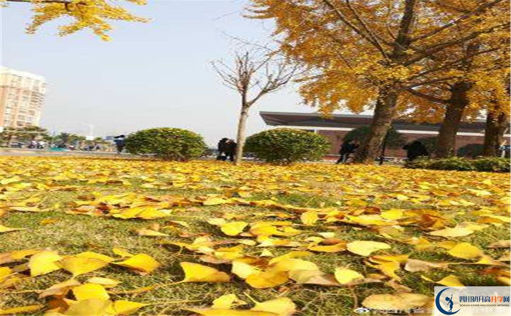金堂實(shí)驗(yàn)中學(xué)高中住宿怎么樣？