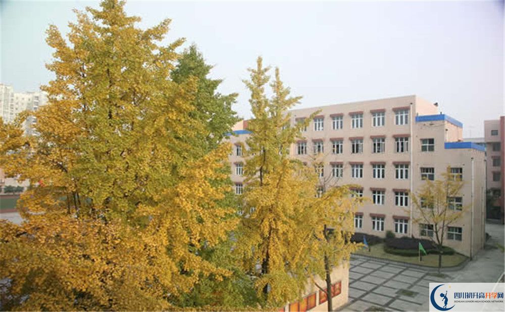 成都西藏中學是私立還是公立學校？