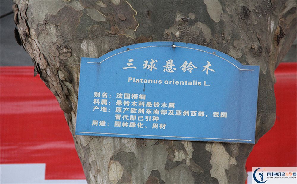 2020成都市第四十九中學(xué)高考重點大學(xué)升學(xué)率高嗎？