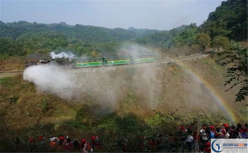 成都市泡桐樹中學(xué)國際班費用是多少？